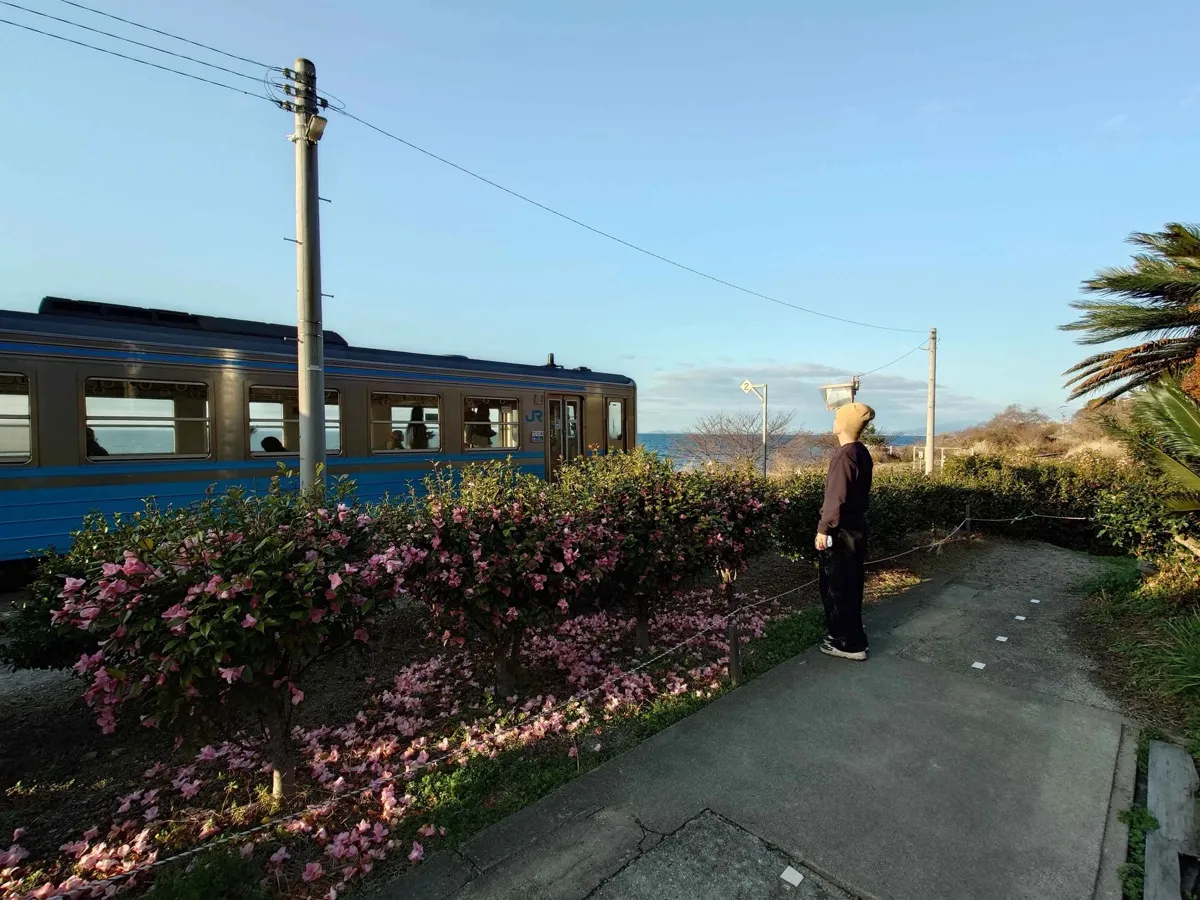 ピンクの山茶花が咲く小道を、青い列車が駆け抜けていく。これが毎日見られる宿になる
